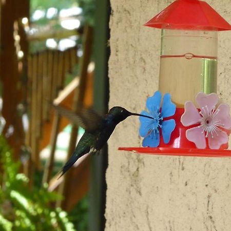 Lo De La Omi Hotel Villa General Belgrano Ngoại thất bức ảnh