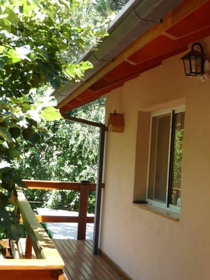 Lo De La Omi Hotel Villa General Belgrano Ngoại thất bức ảnh